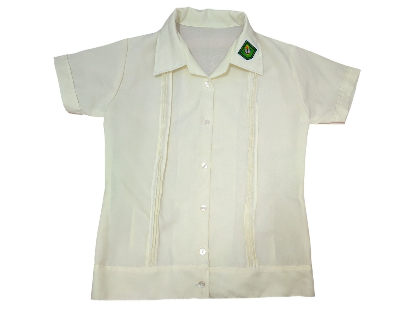CVSU BLOUSE